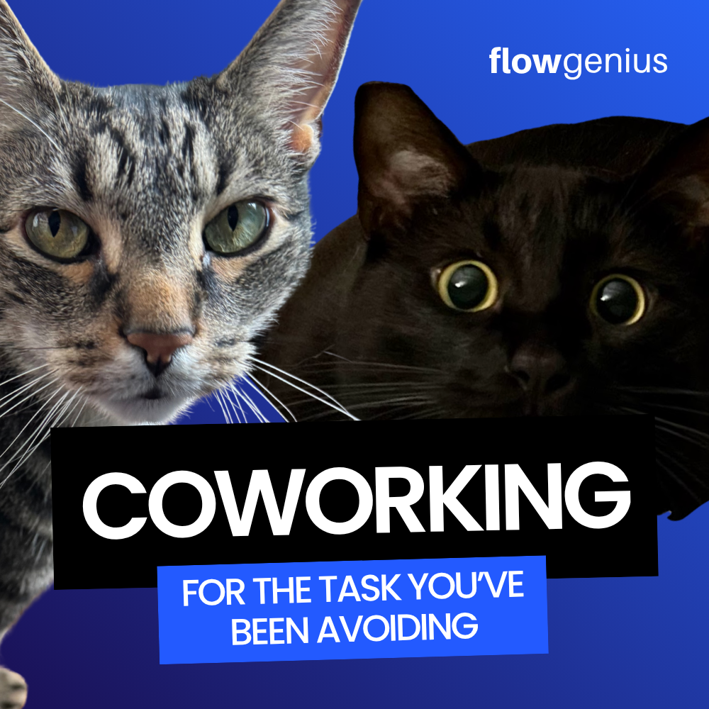 coworking for the task you've been avoiding flowgenius body doubling adhd executive dysfunction with cats